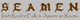 Logo Seamen