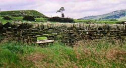 Landschaftsaufnahme Schottland
