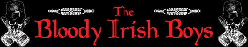 Banner Bloody Irish Boys