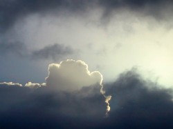 wolke