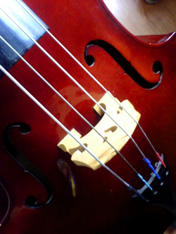 Kontrabass